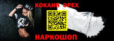 шишки Дубна