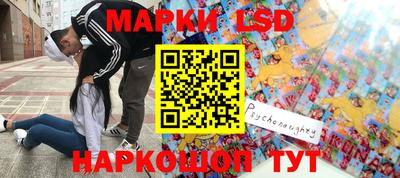 шишки Дубна