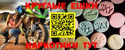 шишки Дубна