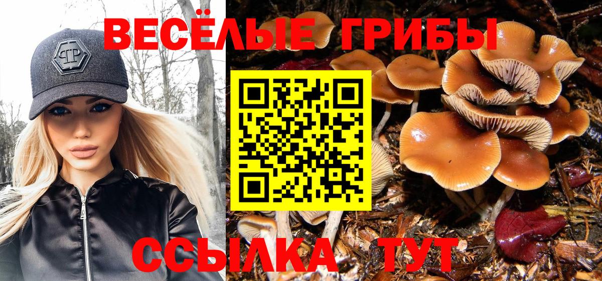 Псилоцибиновые грибы мицелий  Вход с VPN  Псилоцибиновые грибы GOLDEN TEACHER  магазин продажи наркотиков  Лысьва 